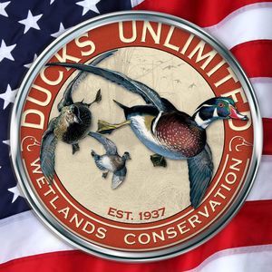 Meet your Posher, Ethan